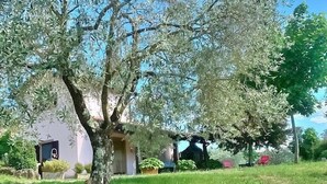 A building with a garden area, a mailbox, and a small structure with a roof. - Casa Binetta B: A characteristic and welcoming two-story independent house situated in the heart of the Tuscan countryside. (Santa Fiora)