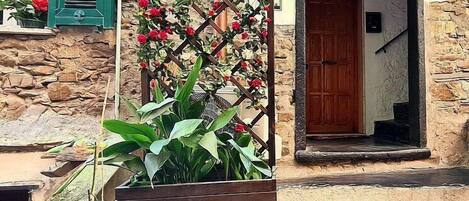 Detalle del exterior