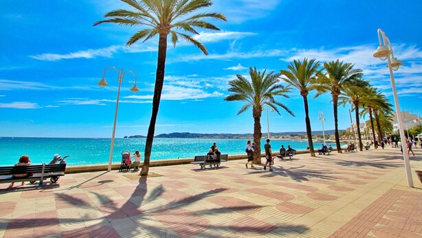 Une promenade ensoleillée bordée de palmiers, avec des bancs et une vue dégagée sur la mer.