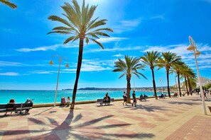 A sunny promenade with palm trees, benches, and a clear view of the sea.