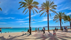 Une promenade en bord de mer, bordée de palmiers, avec des bancs et des passants.