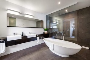 Chuveiro, secador de cabelo, toalhas de banho, shampoo