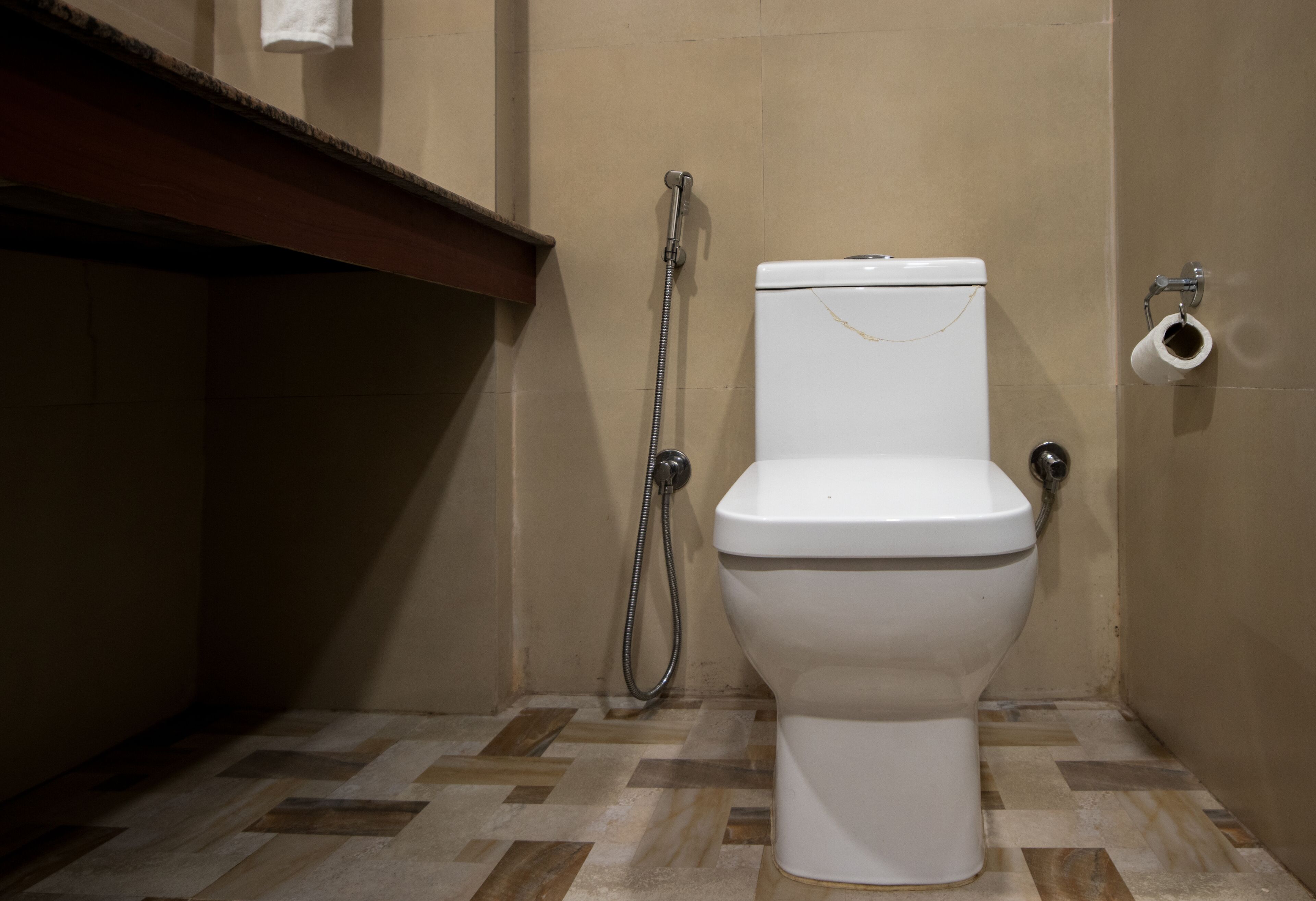 A bathroom with a toilet, a shower, and a toilet paper holder on the wall.