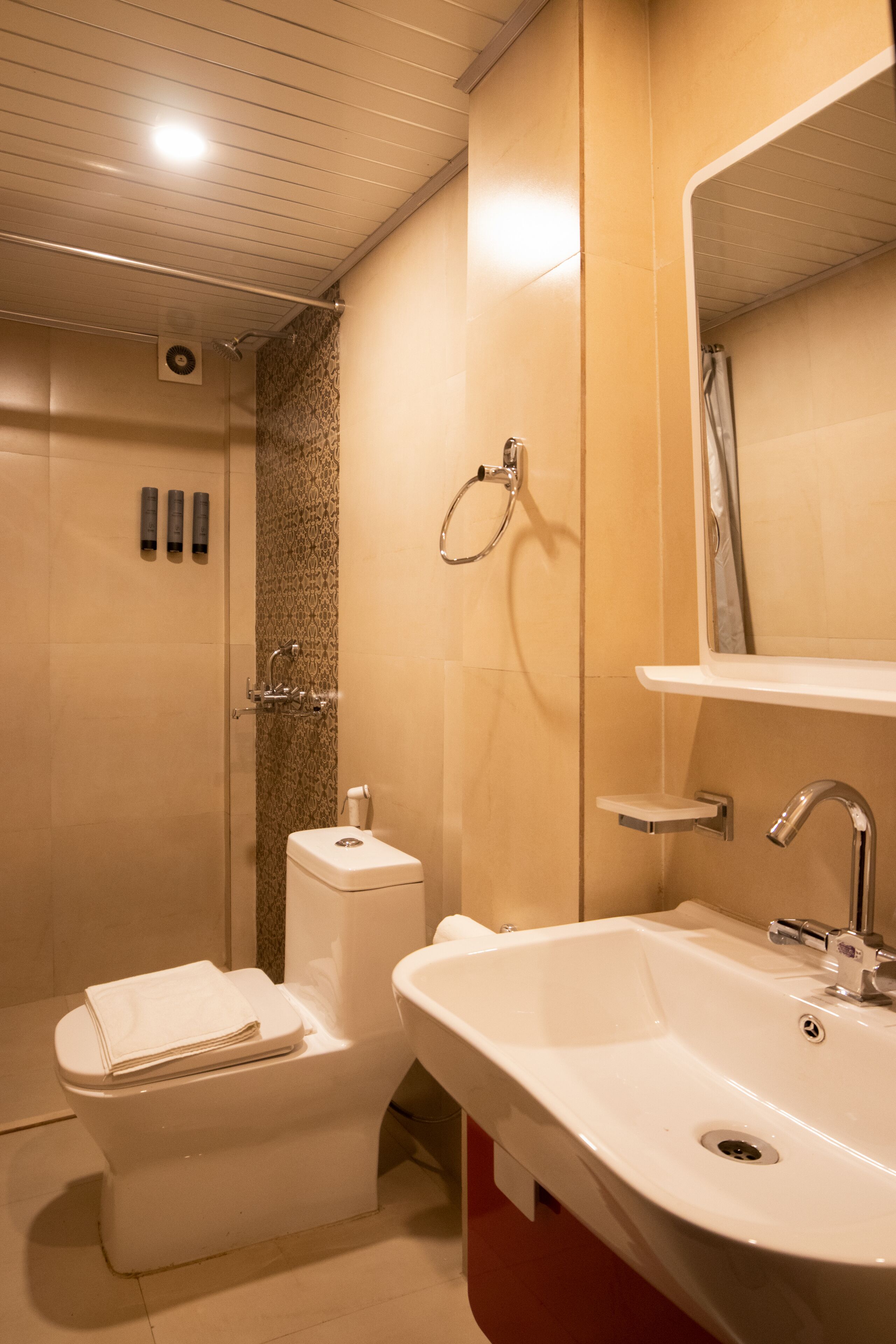 Een moderne badkamer met douche, toilet en wastafel.
