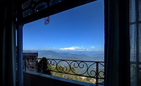 Premium Room View Sofa Cum Bed