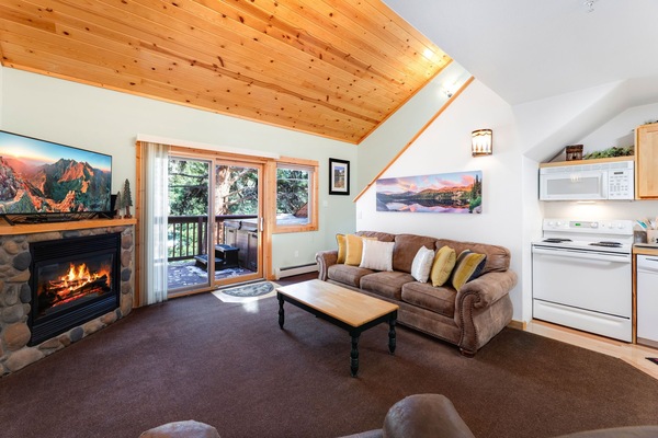 Smart TV, fireplace, DVD player, video library