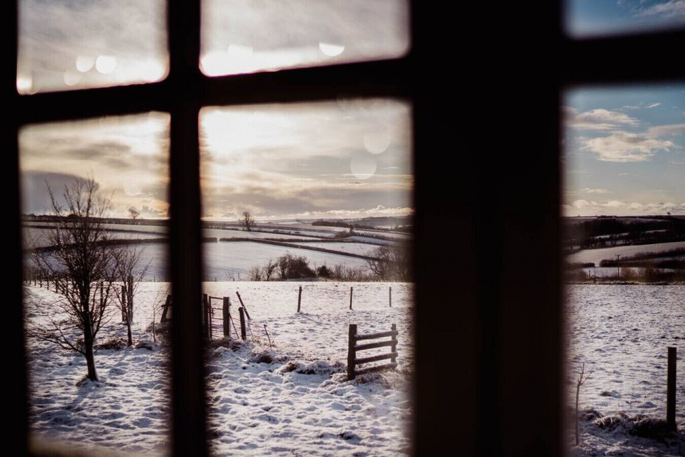 Blick durch ein Fenster auf eine verschneite Landschaft mit einem Zaun und kahlen Bäumen.