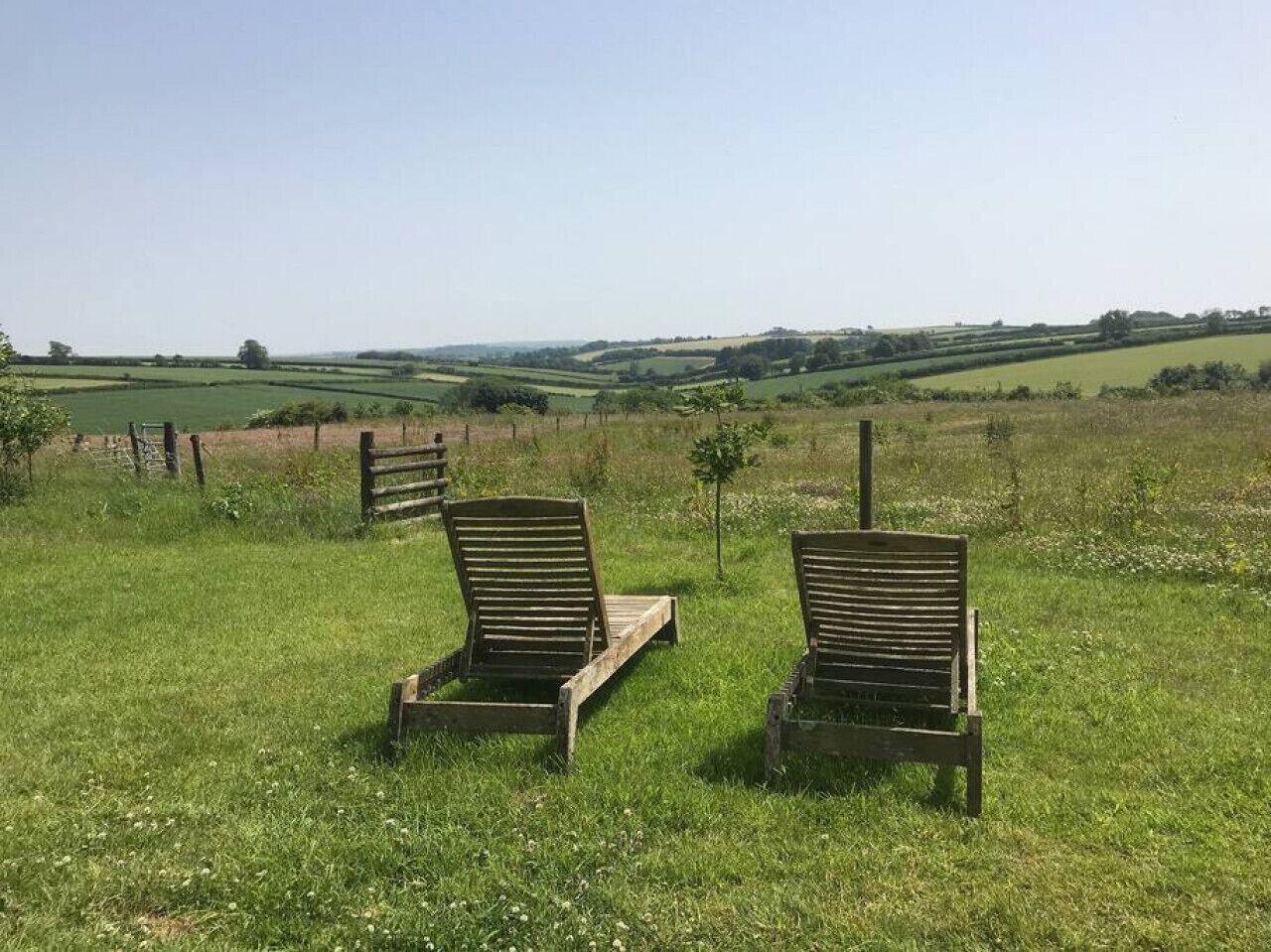 Two wooden lounge chairs in a grassy field with a view of rolling hills in the background.