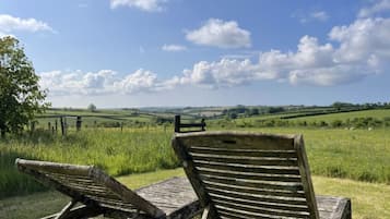 Two wooden lounge chairs in a grassy field with a clear sky.