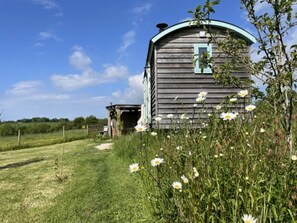 A rustic wooden house with a curved roof, surrounded by a grassy field with wildflowers.