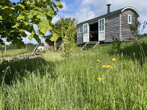 Een rustieke hut met een open deur, omringd door hoog gras en een klein vijvertje.