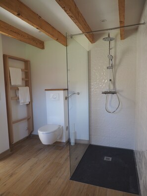 Dusche, Haartrockner, Seife, Toilettenpapier