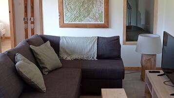 Télévision, lecteur de DVD, livres