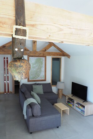 TV, DVD player, books