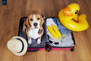 Pet-friendly