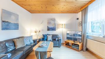 Fernseher, DVD-Player