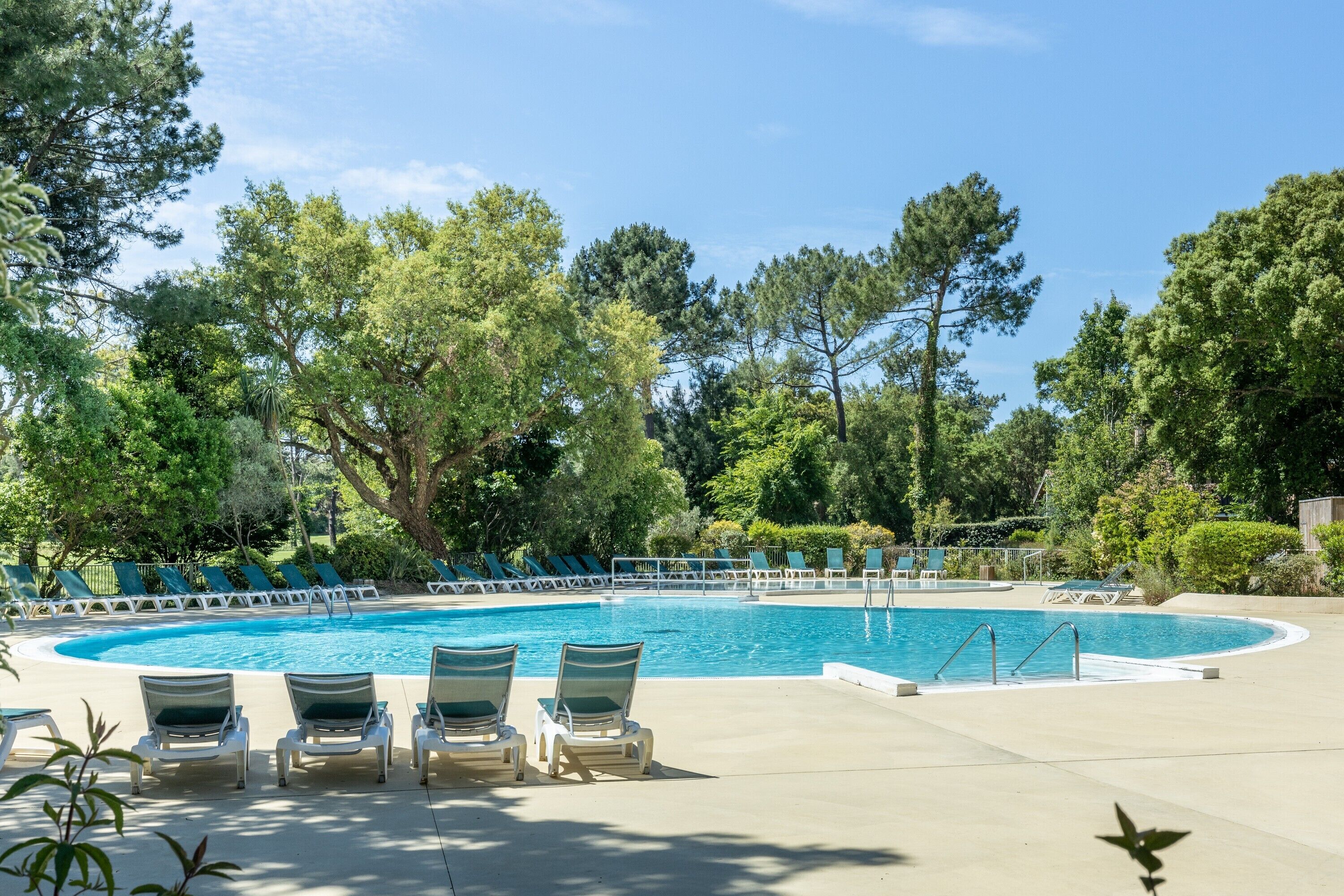 Ein Swimmingpool mit Liegestühlen und Bäumen im Hintergrund.