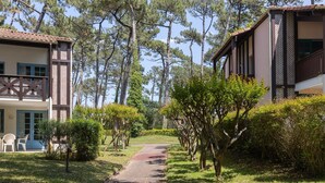 Um caminho leva a um edifício com varanda, cercado por árvores e vegetação.