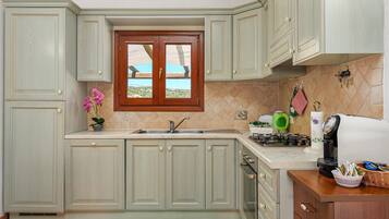 Fridge, oven, stovetop, dishwasher