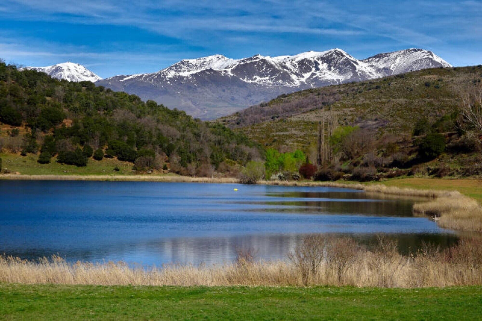 A lake with mountains in the background.