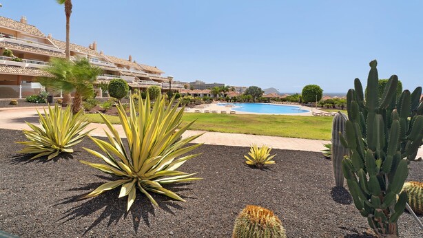Un resort con piscina, palmeras y cactus.