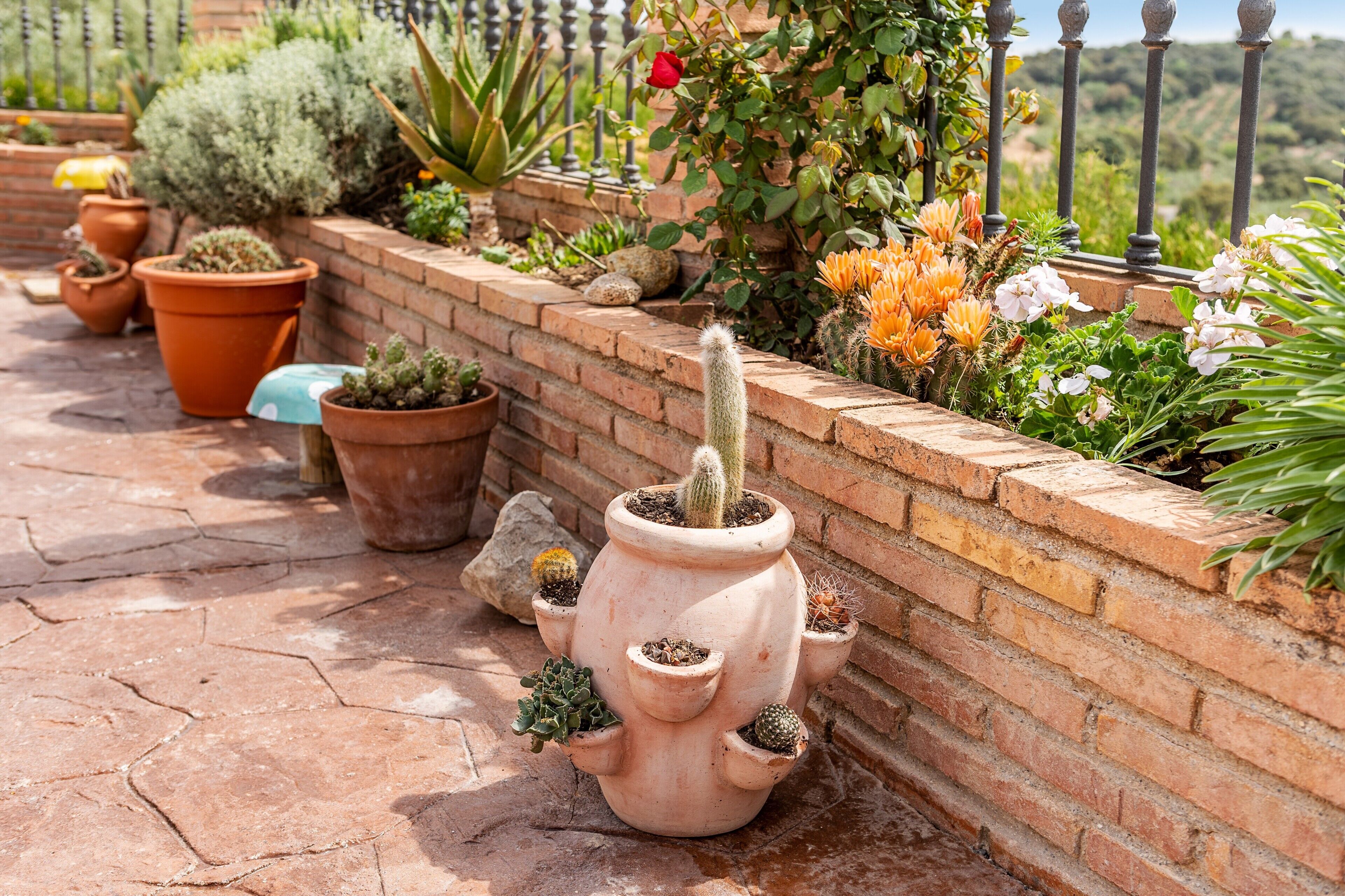 Terrein van de accommodatie