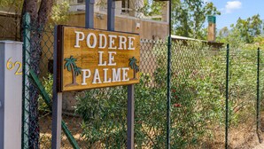 Un cartell de fusta amb el text 'PODERE LE PALME' fixat a un pal metàl·lic, envoltat per una tanca de malla metàl·lica i vegetació al fons.