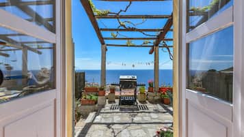 Terras