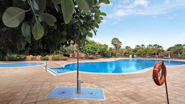 A swimming pool with a lifebuoy, surrounded by greenery and a clear sky.