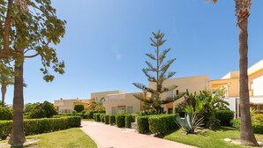 Un sendero conduce a un edificio de diseño moderno, rodeado de abundante vegetación y palmeras.