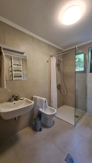 Shower, hair dryer, bidet, towels