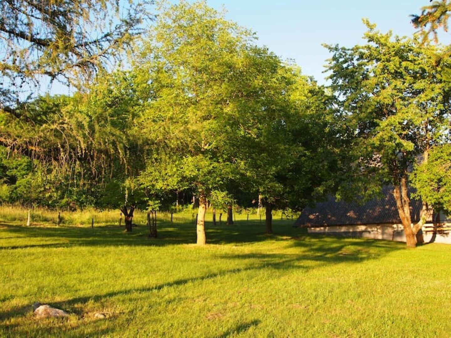 A grassy park area with trees and a stone wall.