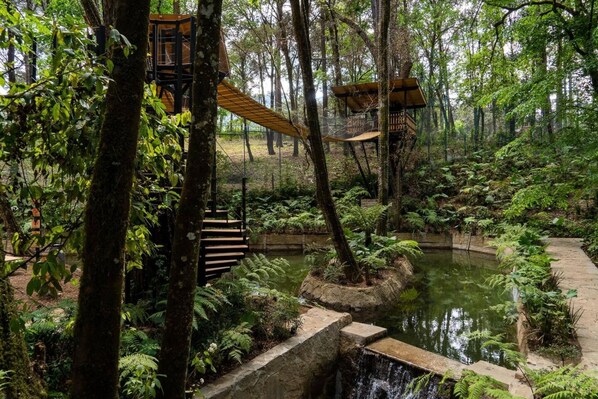 Studio | 2 bedrooms - Bellota Amazing Lodge With Great View (Valle de Bravo)