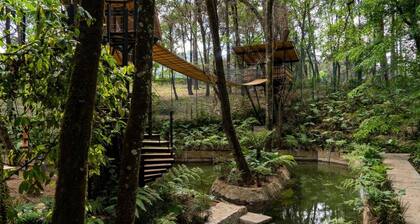 Macadamia Amazing Lodge With Great View