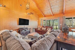 TV connectée, cheminée, jeux vidéo, lecteur de DVD