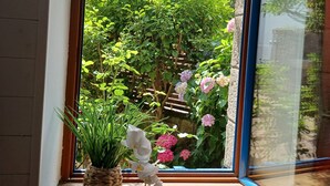 Ein Fenster mit Blick auf einen Garten, eine Topfpflanze und einer Fensterbank.