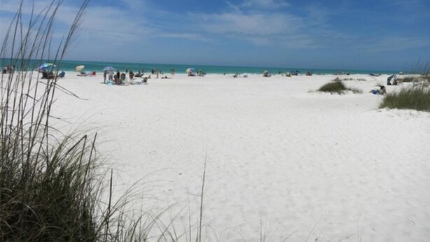 A beach with sand and sparse vegetation.
