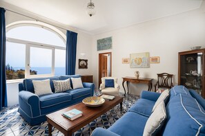 Télévision, cheminée, lecteur de DVD, livres