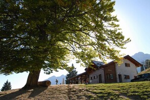 Exterior - Hotel Piccola Baita (Molveno)