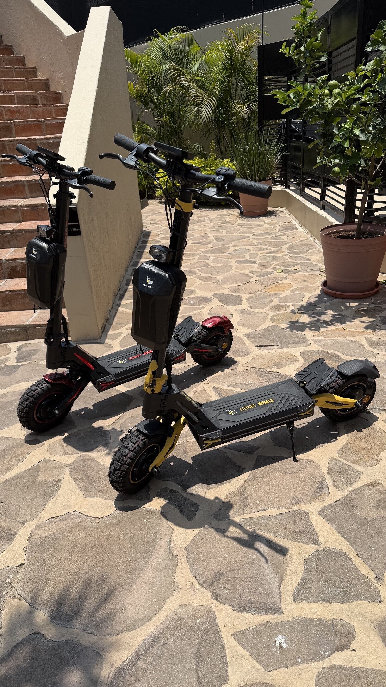 Two electric scooters parked on a stone-paved area with a staircase and potted plants in the background.