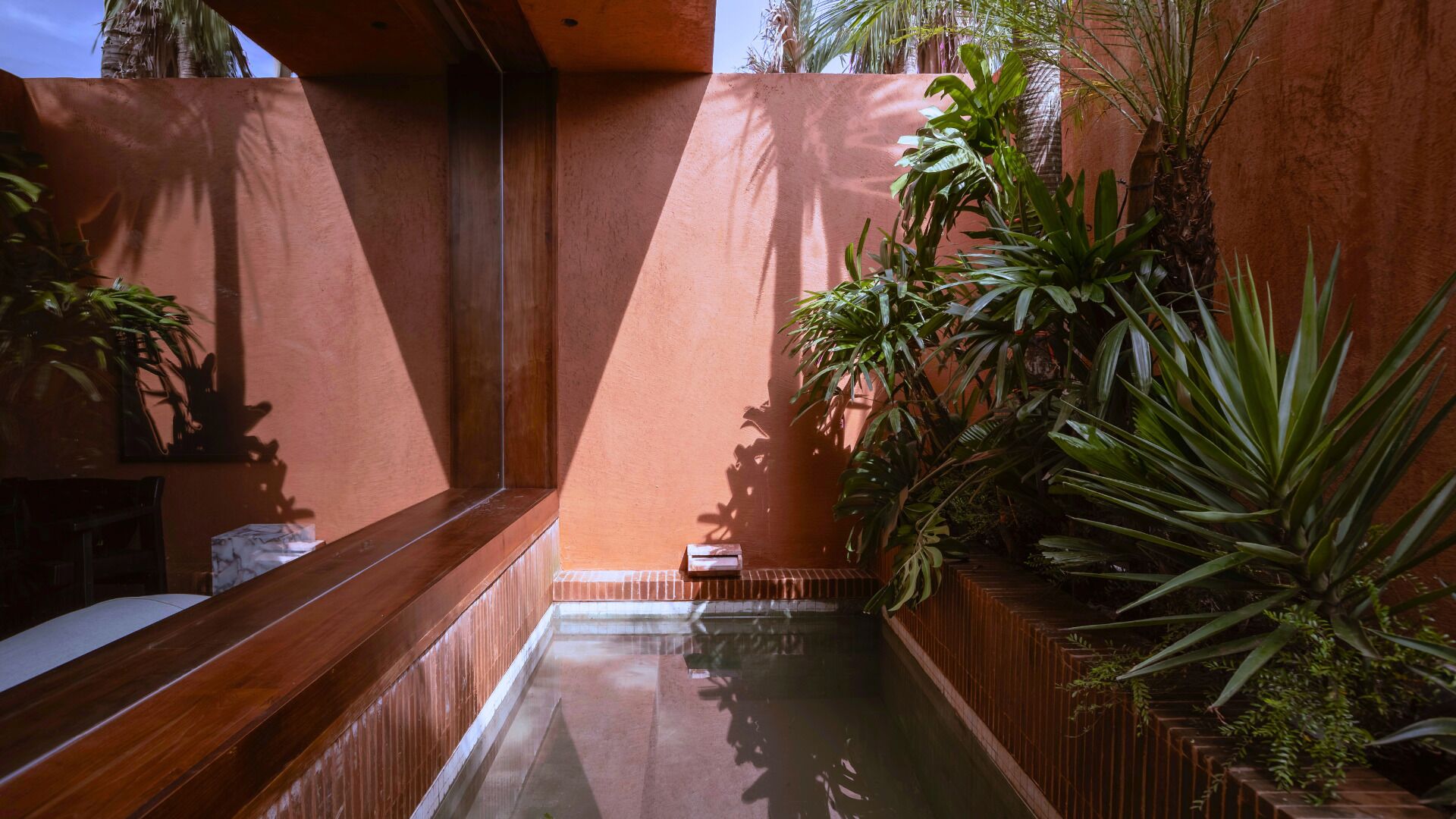 A narrow, sunlit corridor with a wooden bench and a small table, surrounded by lush tropical plants and a reflective water feature.