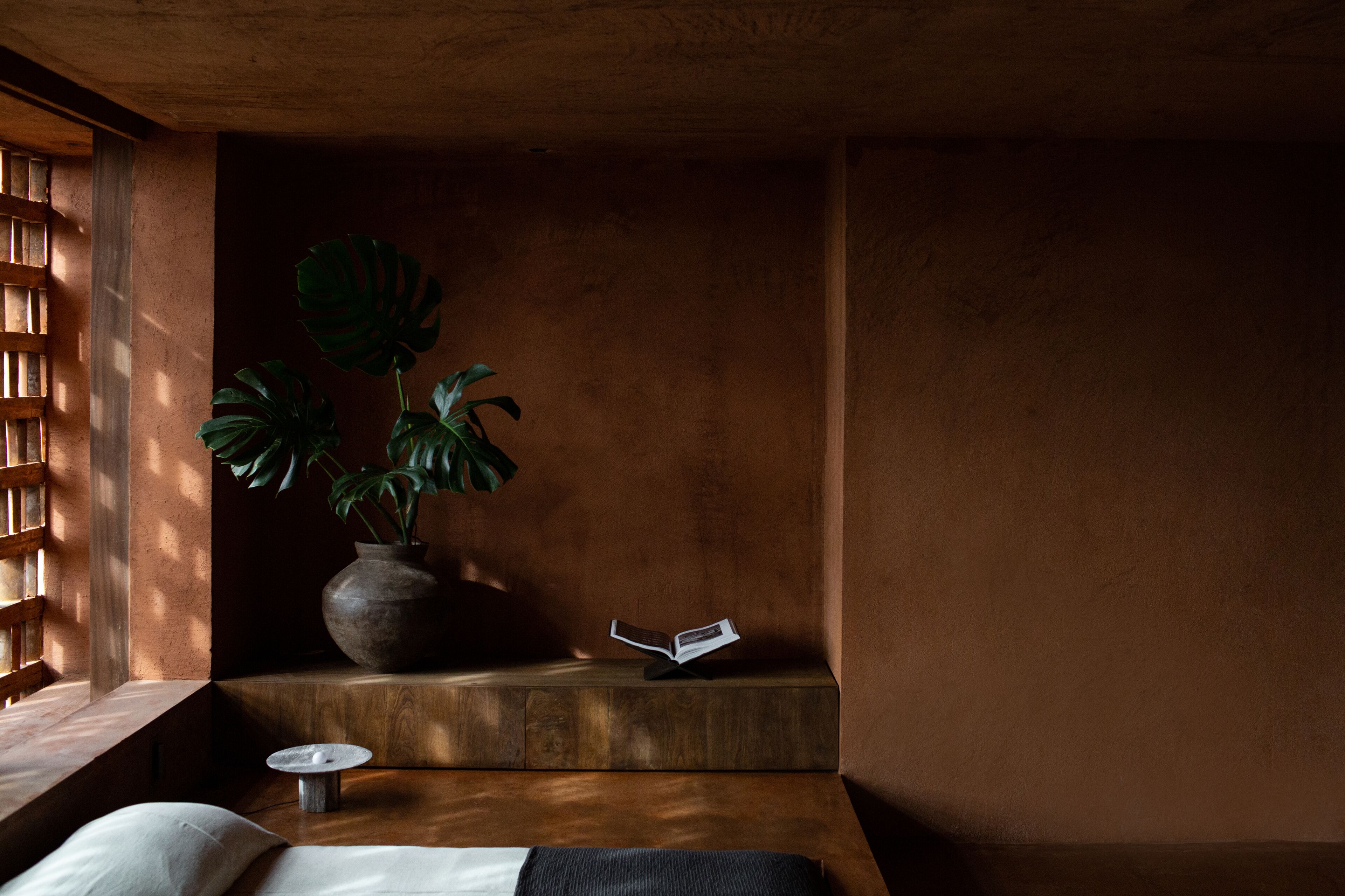 A cozy reading nook with a wooden bench, a potted plant, and a small table with a book.