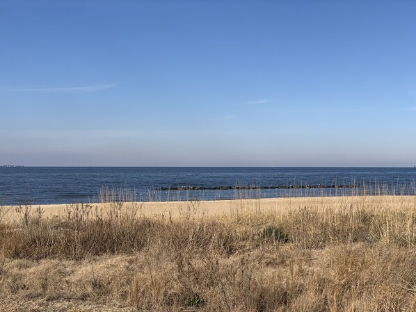 Una spiaggia con erba secca in primo piano e un cielo azzurro limpido.