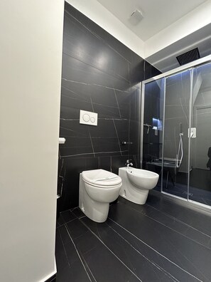 Shower, hair dryer, bidet, towels