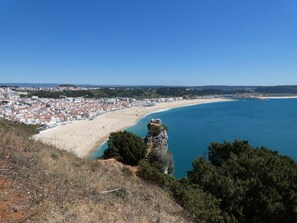 On the beach - Stone's Throw - Front line apartment in Nazaré (Nazaré)