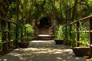 Un sendero conduce a una escalera de piedra rodeada de abundante vegetación y barandillas de bambú.