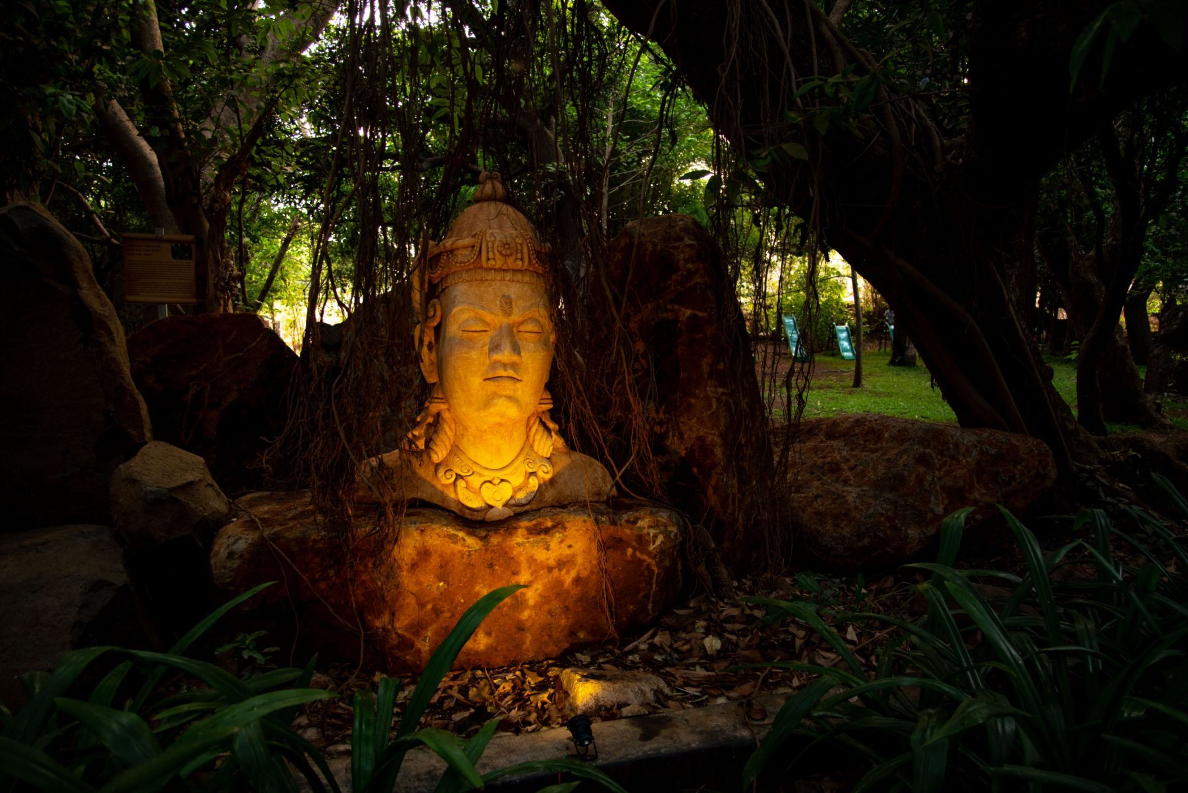 Uma estátua de Buda em ambiente natural, rodeada por pedras e vegetação.