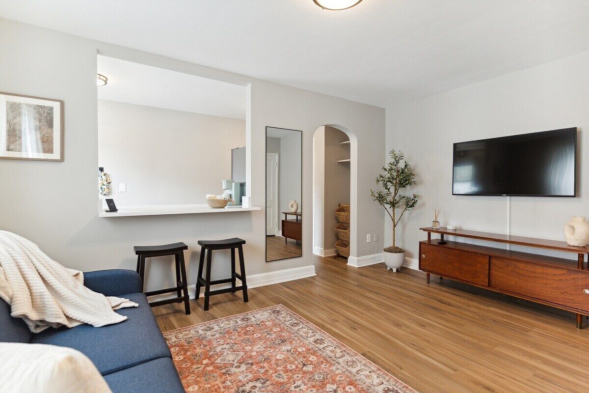 Astonishing Alexandria Apartment