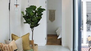 Una sala de estar moderna con un sofá verde, una planta grande y una alfombra tejida.