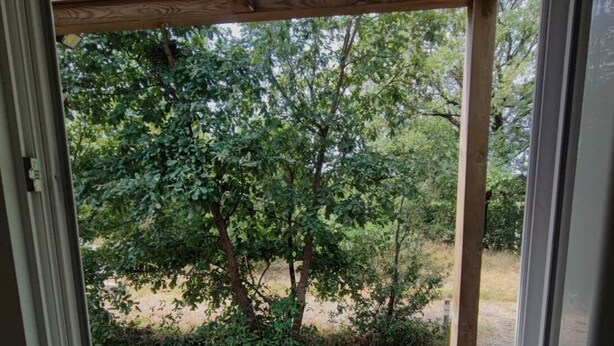 A wooden deck with a view of a wooded area.